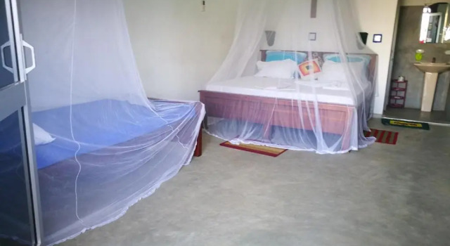 Трёхместный номер Comfort с балконом и с красивым видом из окна Frangipani Beach Villa