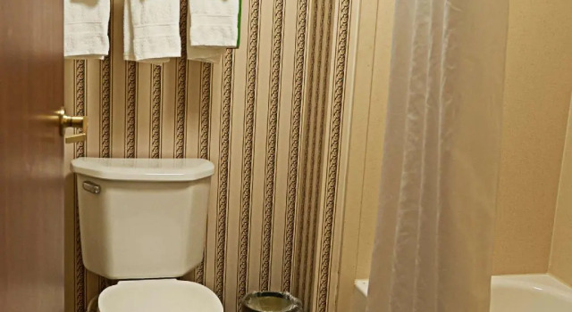 Четырёхместный номер Standard Hampton Inn & Suites Scottsburg