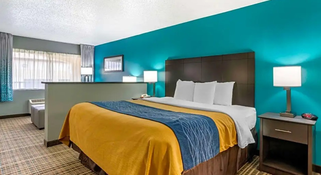 Люкс Comfort Inn Sun City Center - Ruskin - Tampa South