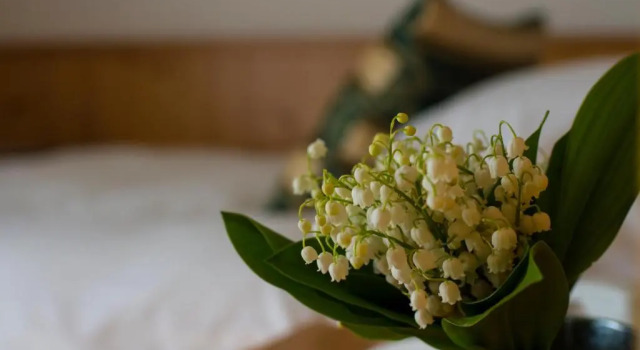 Одноместный номер Standard Hotel Chalet allImperatore
