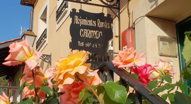 Апартаменты Alojamientos Carmen