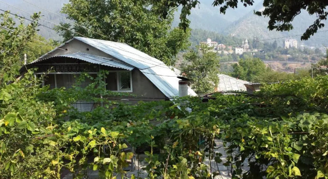 Семейный номер Standard Bacho,s Cottage
