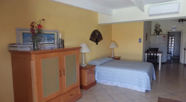 Студия с видом на бассейн Aruba Cunucu Residence