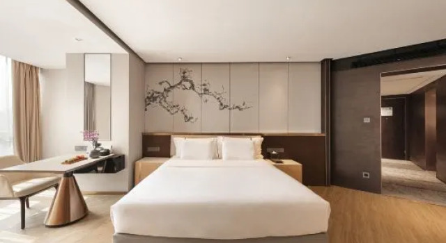 Номер Standard Elite Polink Global Hotel