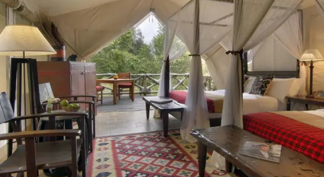Номер Standard Fairmont Mara Safari Club