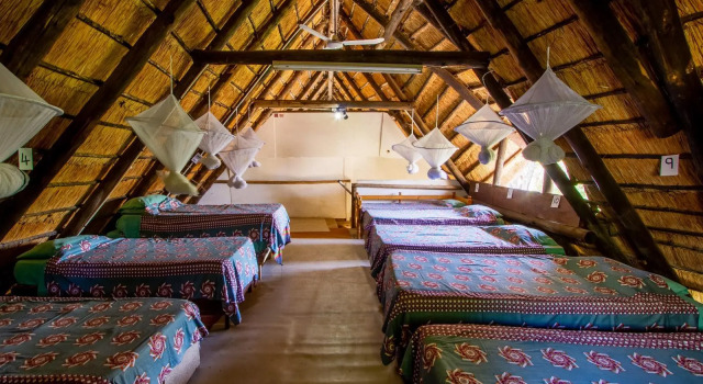 Кровать в общем номере Victoria Falls Backpackers Lodge