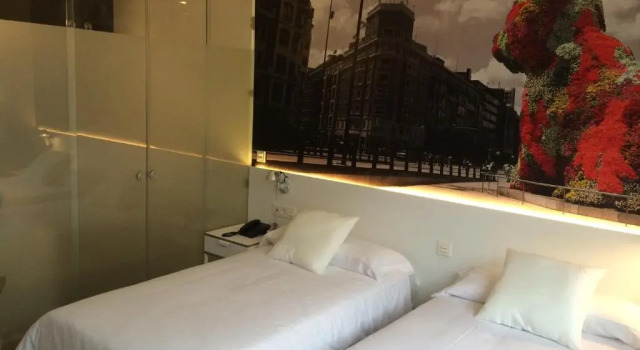 Двухместный номер Deluxe Bilbao City Rooms