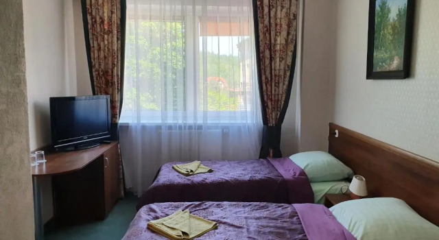 Двухместный номер Standard Hotel Sudety