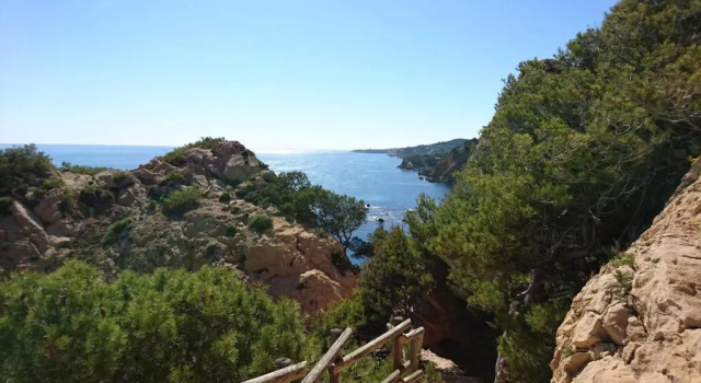 Апартаменты Appart indépendant dans propriété 4000 m2 Luberon