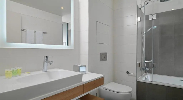Двухместный люкс c 1 комнатой Residence Inn by Marriott Toulouse-Blagnac