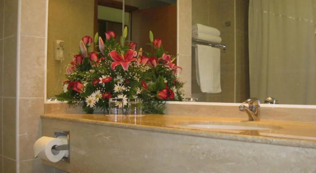 Двухместный номер Standard Hotel Diego De Almagro Talca