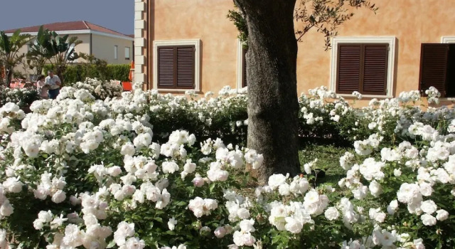 Residence Baia Infreschi, Book Hotel Hoteller i Cilento Coast med pool, Swimmingpool
