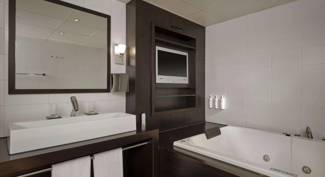 Люкс Deluxe c 1 комнатой Park Plaza Eindhoven