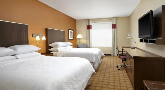Четырёхместный номер Traditional Four Points by Sheraton Edmonton International Airport