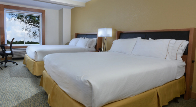 Holiday Inn Express Hotel & Suites High Point South, an IHG Hotel, Prenota Hotel High Point Carolina del Nord