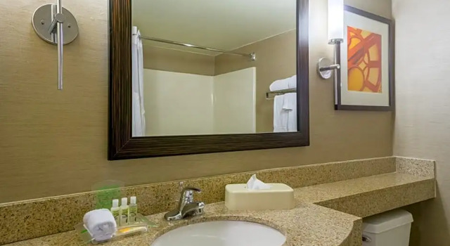 Четырёхместный номер Standard с видом на бассейн Holiday Inn Harrisburg I-81 Hershey Area by IHG