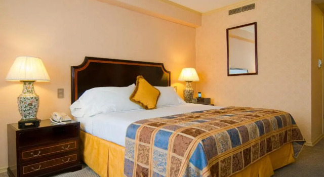Двухместный номер Standard Park Plaza Santiago