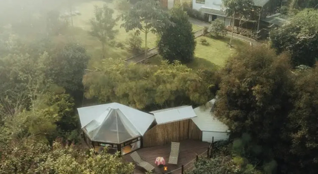 Номер Deluxe Lumbre Forest Lodge