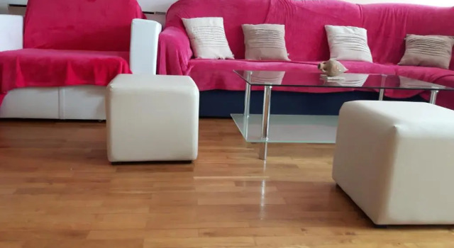 Apartment Trstenik