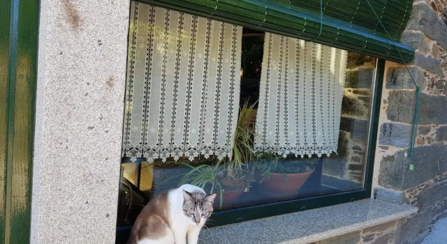Коттедж Casa do Estevo
