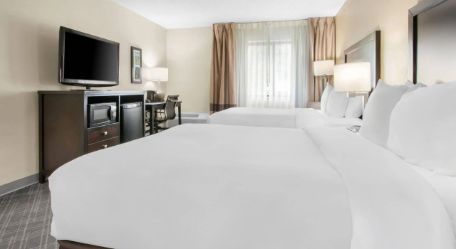 Четырёхместный номер Standard Comfort Inn Detroit Downtown
