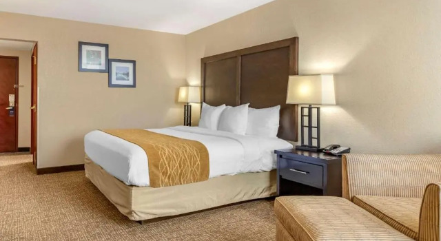 Номер Standard Comfort Inn & Suites