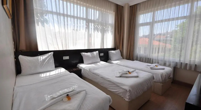 Трёхместный номер Standard Hotel Baykal
