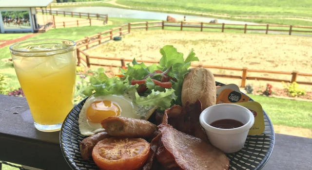 Kur Cow farm, 予約 農家民宿 キュランダ クイーンズランド州