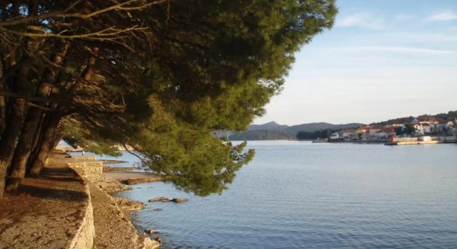 Апартаменты Villa Bosotina Royal Sea View