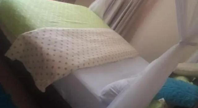 Номер Deluxe Karibu Airport Homestay