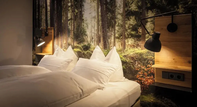 Номер Standard Bollenhuthotel Kirnbacher Hof
