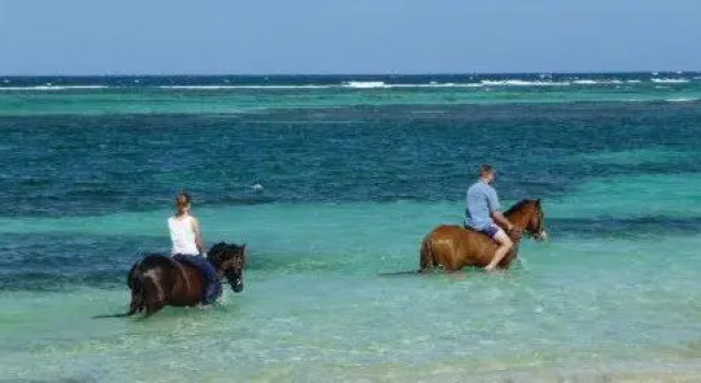 Studio 03 vue mer Orient Bay