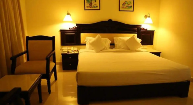 Номер Deluxe Hotel Airlink Castle