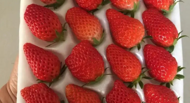 Wawee Strawberry House, Забронировать Отель  