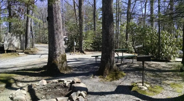 Linville Falls Campground, RV Park, and Cabins, 预订 露营地 林维尔瀑布 北卡罗莱纳州
