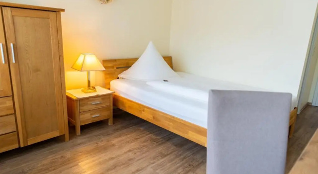 Одноместный номер Standard Hotel Bad Dürkheim