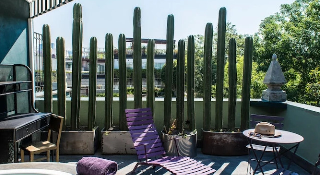 Номер Luxury Pug Seal Polanco Anatole France