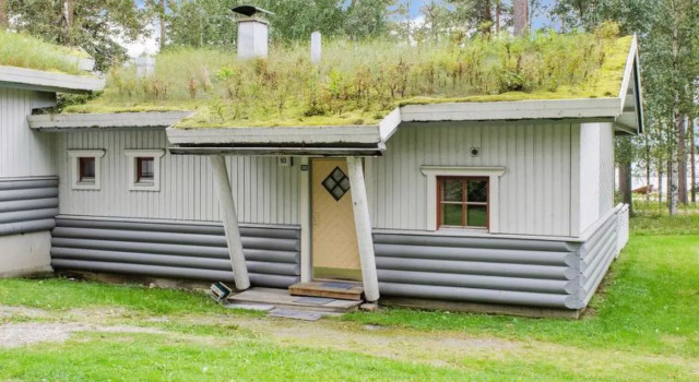Kulta-käkönen 310