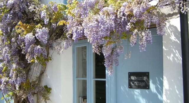 Croyde Wisteria Cottage, Rezervasyon Tatil Evi Merseyside villalar, Villa