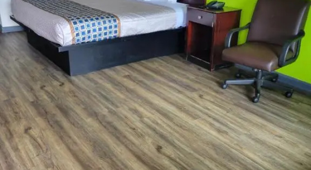 Номер Standard Budgetel Inn & Suites