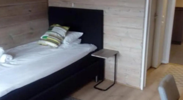 Одноместный номер Business Pan Garden Åmli Hotel