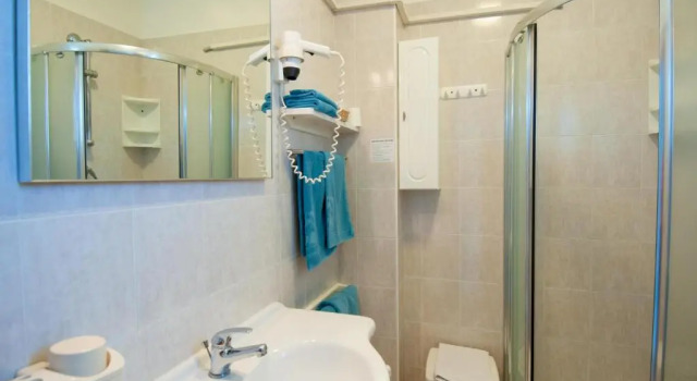 Номер Standard Hotel Ai Pini