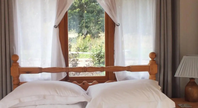 Номер Standard Three Oaks Nursery