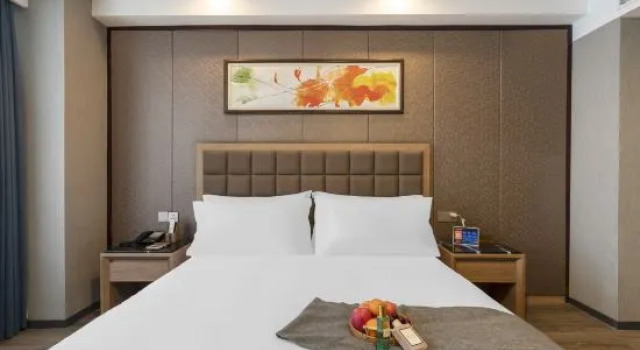 Люкс Deluxe Wuyihai International Hotel (Huanghe Jiaotong College High-speed Railway Station)