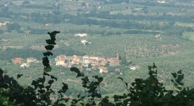 Podere Calistri, Réserver Hôtel Larciano Toscane