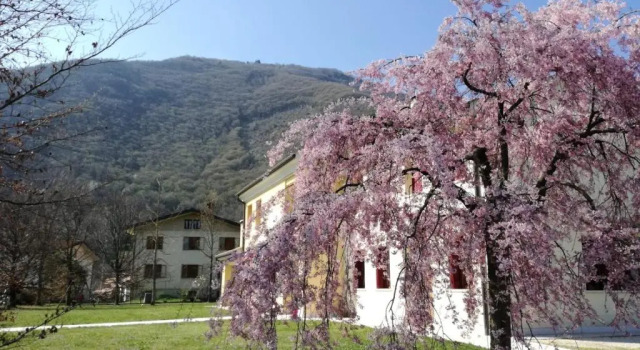 Коттедж с 3 комнатами Agriturismo Memento