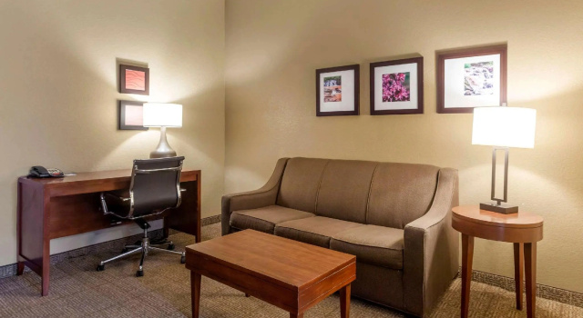 Четырёхместный люкс Comfort Inn & Suites Peachtree Corners - Norcross