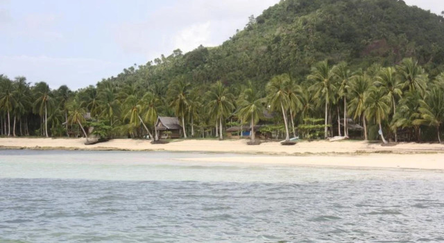 Tarzans Beach Resort, Rezerwuj Ośrodek wypoczynkowy Dapa Siargao Island
