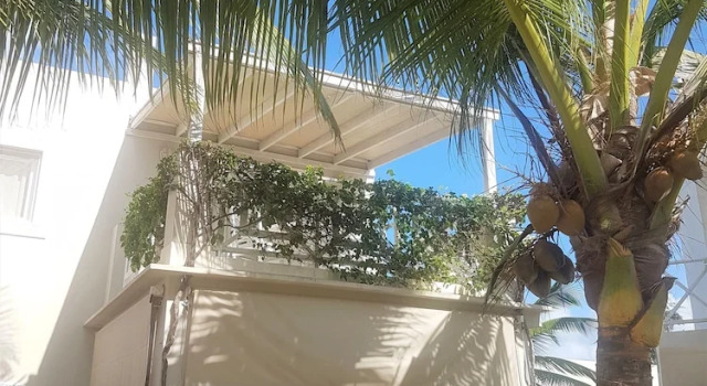 Люкс Life Resort St.Thomas Royal Palm