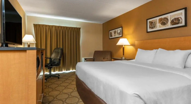 Двухместный номер Цокольный этаж Comfort Inn